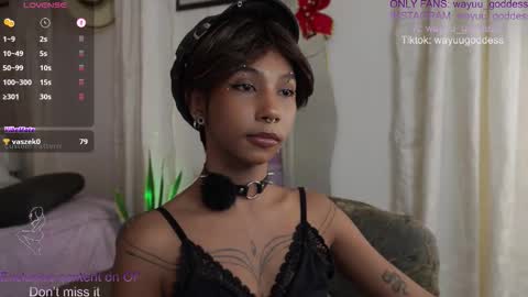 Wayuu Goddess  3 online show from February 26, 4:10 pm