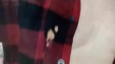 welldny online show from February 26, 9:29 pm