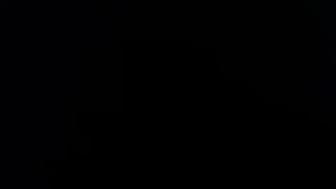 wellingtont online show from November 12, 11:12 am