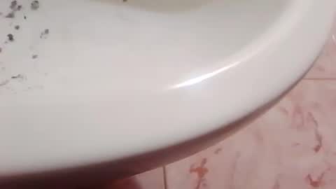 whatcdog12118 online show from May 16, 9:02 pm