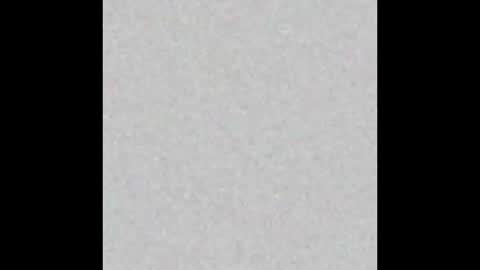 whattheylike online show from March 23, 2:27 am