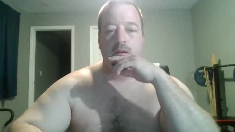 white wolf   jeremy online show from February 15, 11:28 am