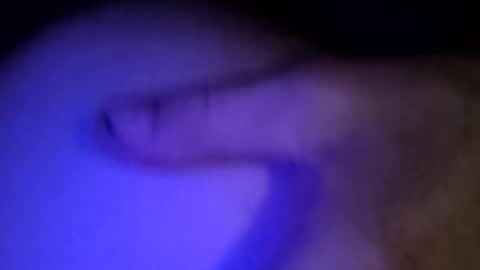 whodunnitwrangler online show from February 8, 5:55 am