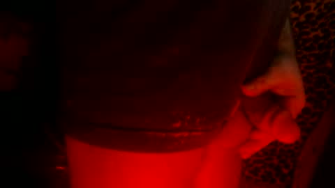 whor4mor online show from February 24, 2:26 pm