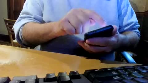 whydog online show from April 3, 2:46 pm