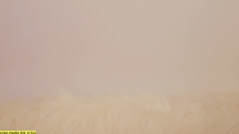 Snapshot of wild_schoolgirl chatting on January 13, 10:24 pm wild_schoolgirl online show from January 13, 10:24 pm