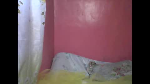 wild_sunflower11 online show from December 25, 3:40 am