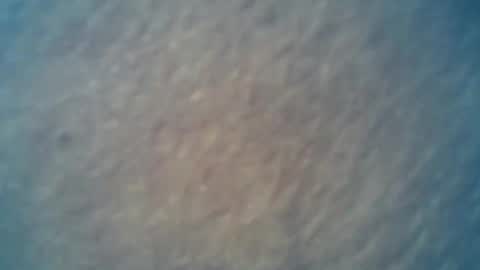 wildman6 online show from February 15, 9:26 pm