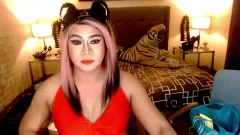 wildtransjhade online show from January 6, 9:30 am