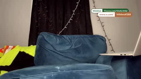 Wolfy Wild online show from January 10, 10:21 am