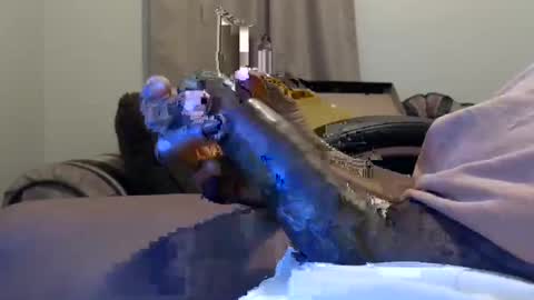 willy d bbc uncut bigdick edging online show from February 11, 9:20 am