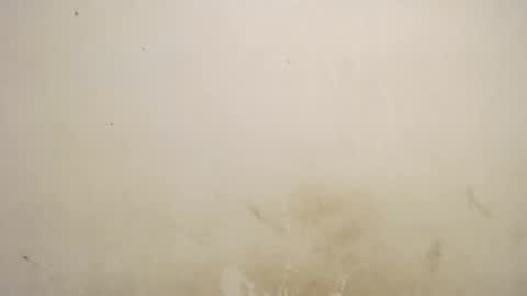 SHENIEL RODRIGUEZ online show from January 9, 6:59 am