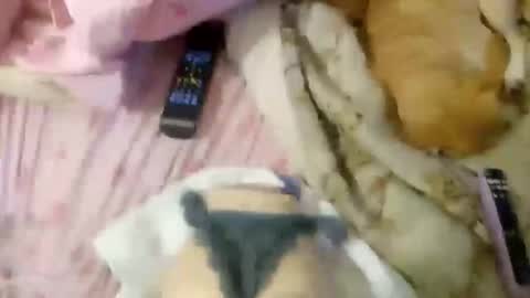 Snapshot of wood6957 chatting on November 1, 12:26 pm wood6957 online show from November 1, 12:26 pm