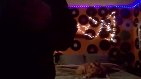 BONER DONOR online show from January 18, 6:00 am