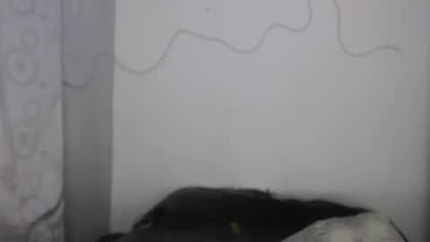 xalejo_max online show from February 16, 7:34 pm