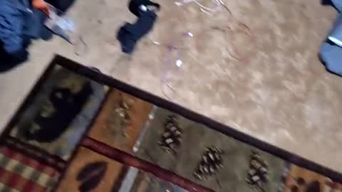 xcfqyiauondf online show from September 18, 8:18 am