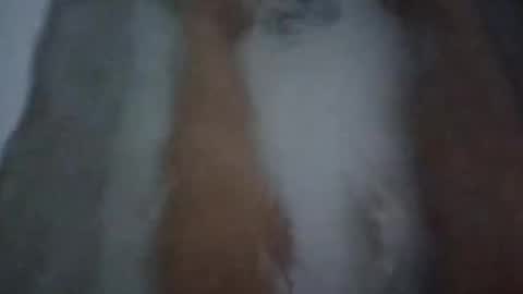 xsweetxgirl27x online show from January 15, 4:32 am