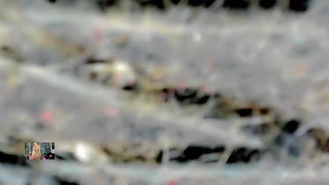 Snapshot of xthesexyboyx chatting on February 16, 4:53 am Femboy Exotic online show from February 16, 4:53 am