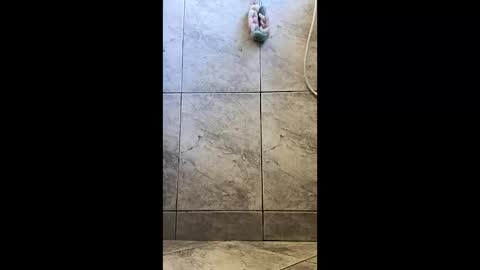 xviktorbr online show from March 26, 4:56 pm