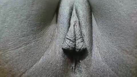 Yash online show from September 20, 6:05 am