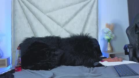 Yeli Amber online show from March 22, 4:11 pm