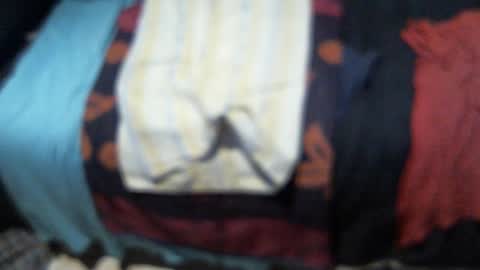 .     y e l l o w s n a k e s       . online show from November 30, 12:18 am