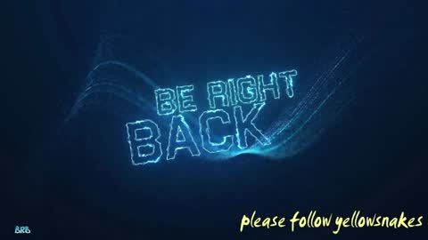 .     y e l l o w s n a k e s       . online show from April 12, 11:14 am