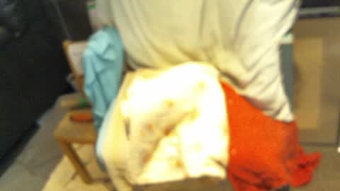 .     y e l l o w s n a k e s       . online show from January 11, 9:21 pm