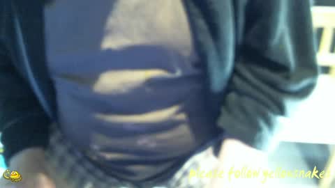 .     y e l l o w s n a k e s       . online show from April 19, 4:19 pm