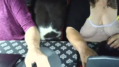 Snapshot of yessirprincesspet chatting on September 17, 3:43 am yessirprincesspet online show from September 17, 3:43 am