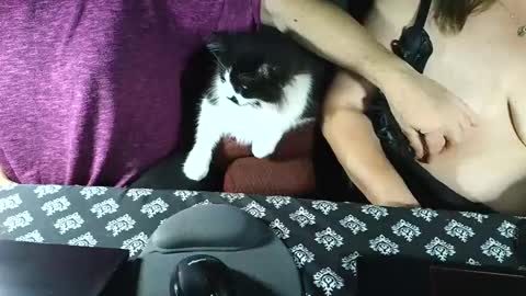 Snapshot of yessirprincesspet chatting on September 16, 3:41 am yessirprincesspet online show from September 16, 3:41 am