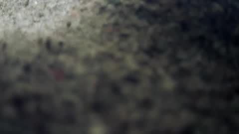 yoguinis online show from March 23, 1:32 am