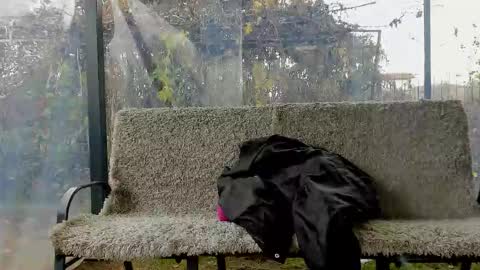 private on 18 per minute start private 500 tokensOnlyfans  online show from November 11, 9:44 am