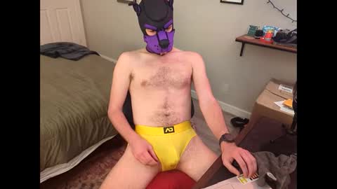 pup chomp live and clothed online show from February 6, 8:45 pm