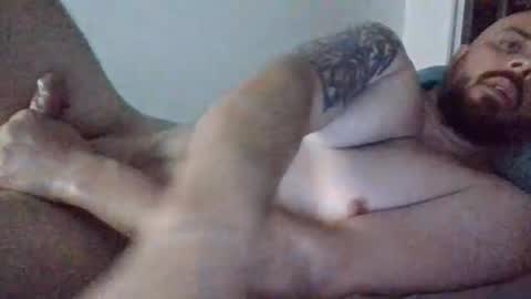 Dan online show from February 21, 11:46 am