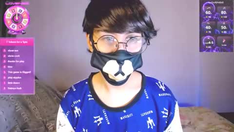 the puppy boy online show from February 1, 3:47 am