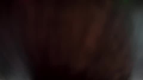 yuppers1234 online show from November 6, 4:43 pm