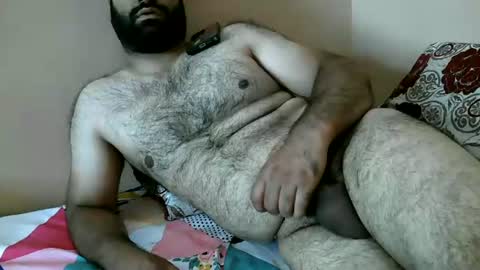 Bi BearXXX online show from July 9, 5:55 am