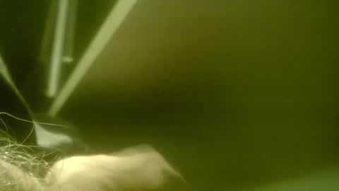 zaboski4 online show from March 7, 8:36 am