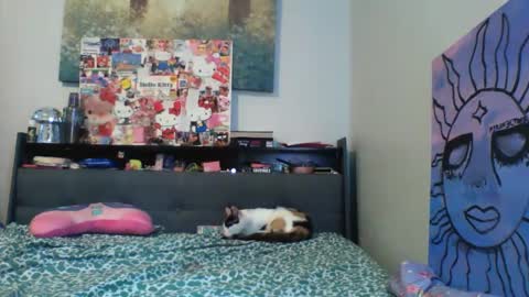 zaddyslilslutbucket online show from September 13, 10:23 pm