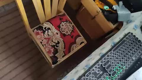 zenonsex online show from March 17, 9:09 pm