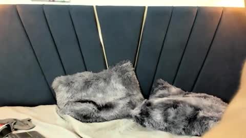 Snapshot of zeusapollofuck chatting on September 19, 11:30 pm zeusapollofuck online show from September 19, 11:30 pm