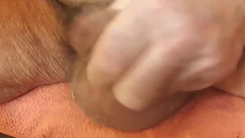 zevioo77 online show from November 18, 11:57 am