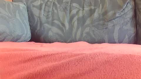 zevioo77 online show from January 3, 12:07 pm