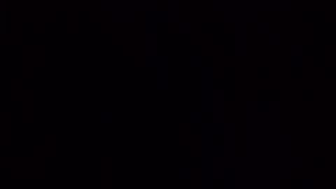 ziegelkutscher online show from September 22, 9:57 am