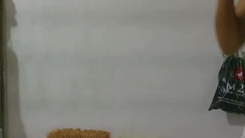 Zoya online show from October 16, 6:46 am